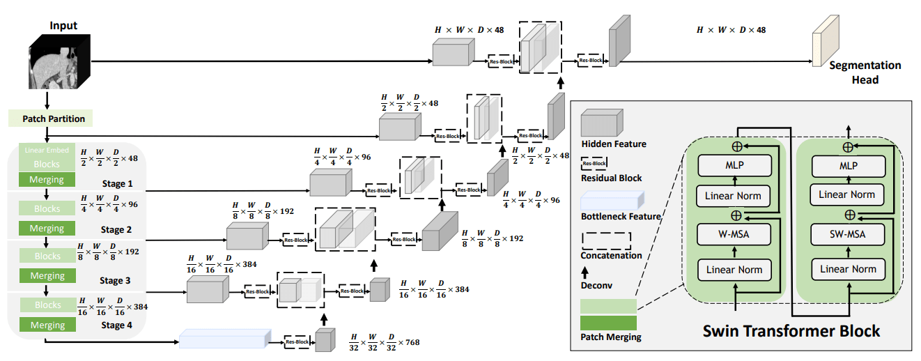 Swin UNETR — BTCV Multi-Organ 3D Segmentation (Pretrained + Custom Upgrades)